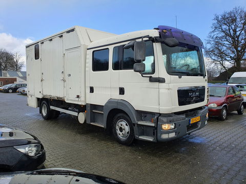 MAN TGL 8.180 AUT. 4X2 BL EEV *PAARDEN/HORSES TRAILER AUT. *PAARDEN TRAILER- PFERDETRANSPORTWAGEN - HORSES TRAILER* *lengte: 760cm l breedte:236cm l hoogte:325cm*