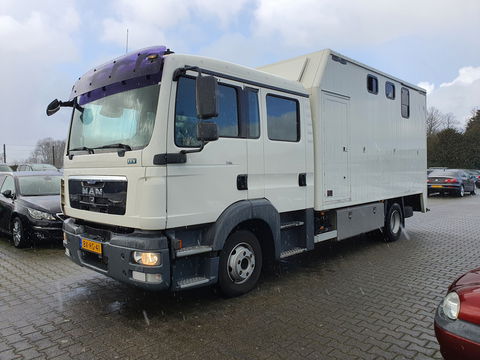 MAN TGL 8.180 AUT. 4X2 BL EEV *PAARDEN/HORSES TRAILER AUT. *PAARDEN TRAILER- PFERDETRANSPORTWAGEN - HORSES TRAILER* *lengte: 760cm l breedte:236cm l hoogte:325cm*