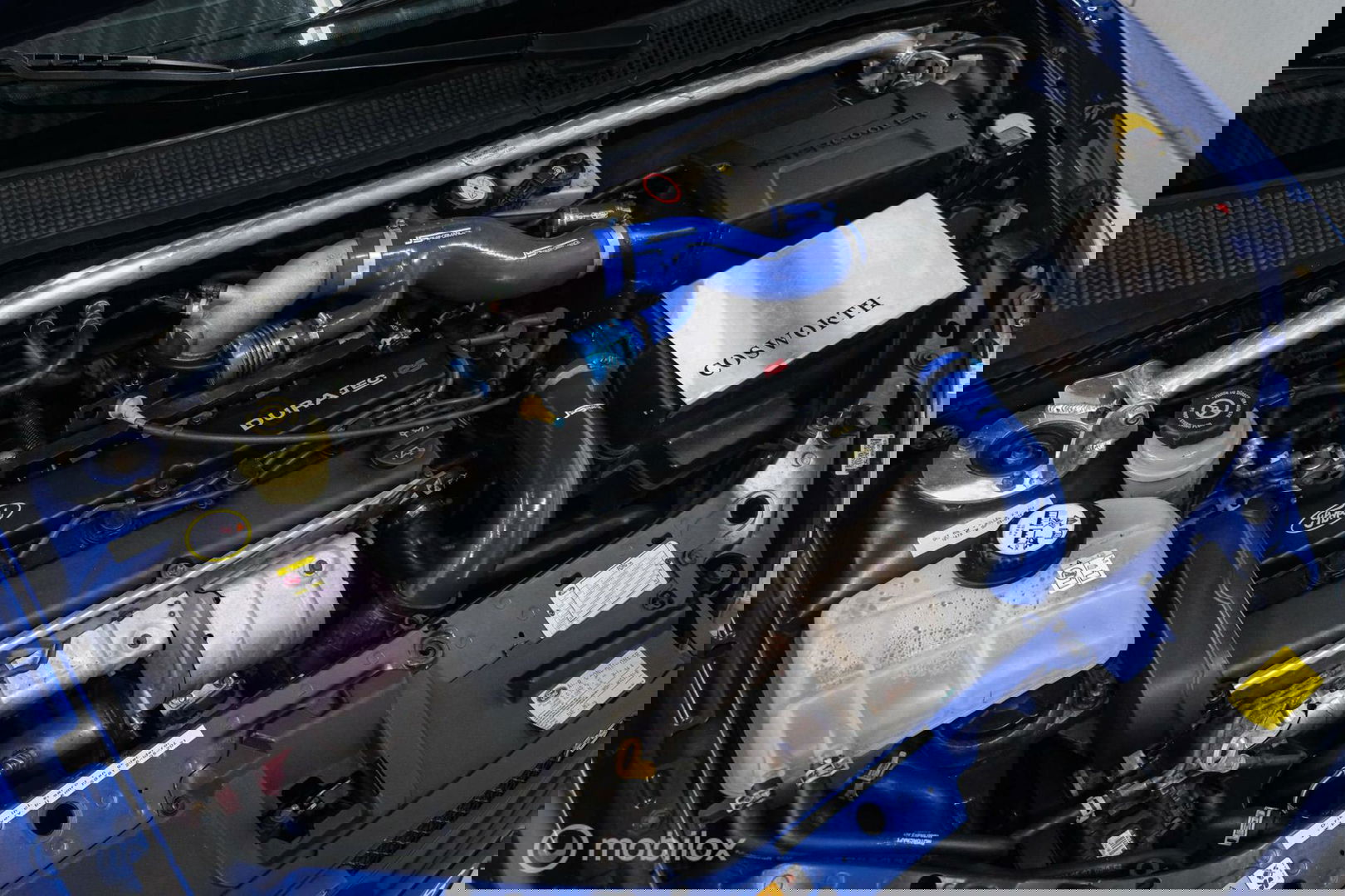 Ford Focus 2.0-16V RS Turbo MK1 | NR. 4160 | NAP | Uniek! | Cosworth | Brembo | OZ |
