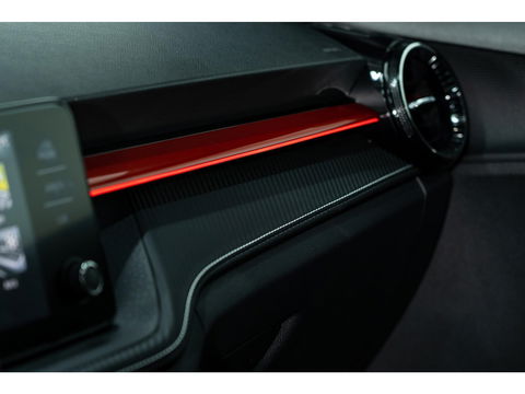 Škoda Fabia 1.0 TSI Monte Carlo | SPORT INTERIEUR | LED | CLIMA | PDC | DAB | APPLE CAR PLAY