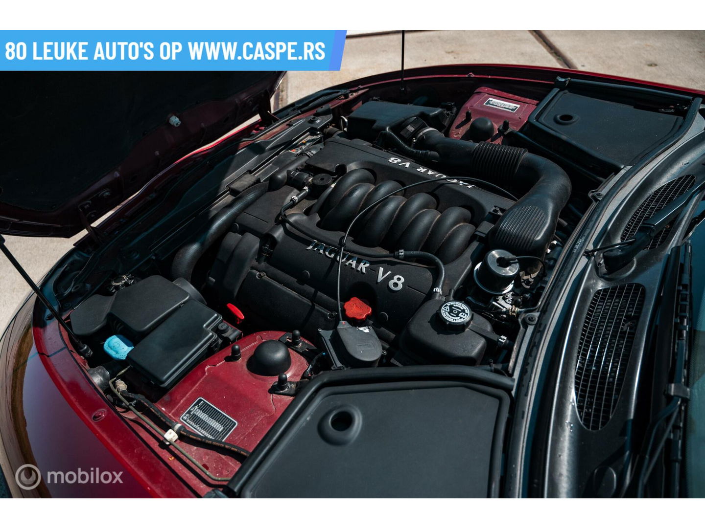 Jaguar XK8 4.0 V8 Convertible | Origineel NL | Metallic rood