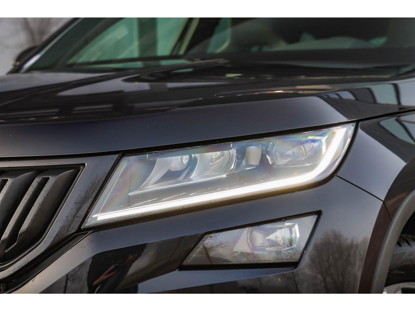 Škoda Kodiaq 1.5 TSI 150pk Sportline Business | Trekhaak