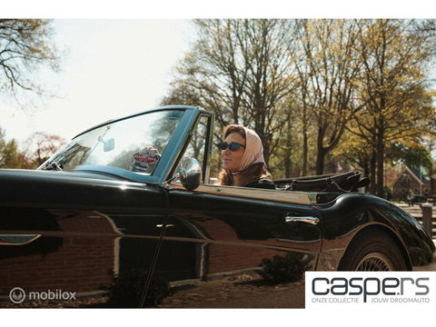 Austin Healey 3000 MK III | 'Old Boy Racer' in top staat