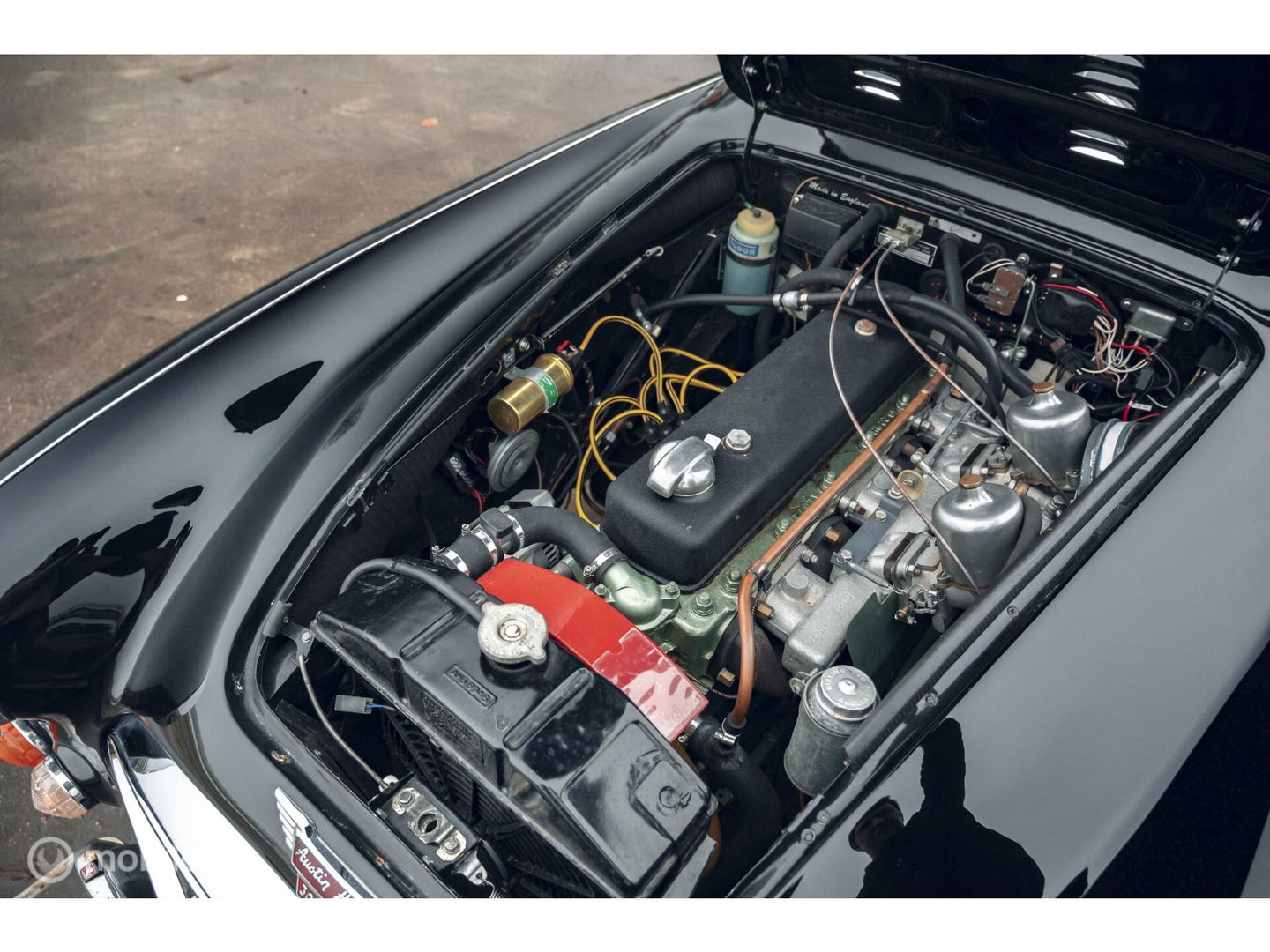 Austin Healey 3000 MK III | 'Old Boy Racer' in top staat