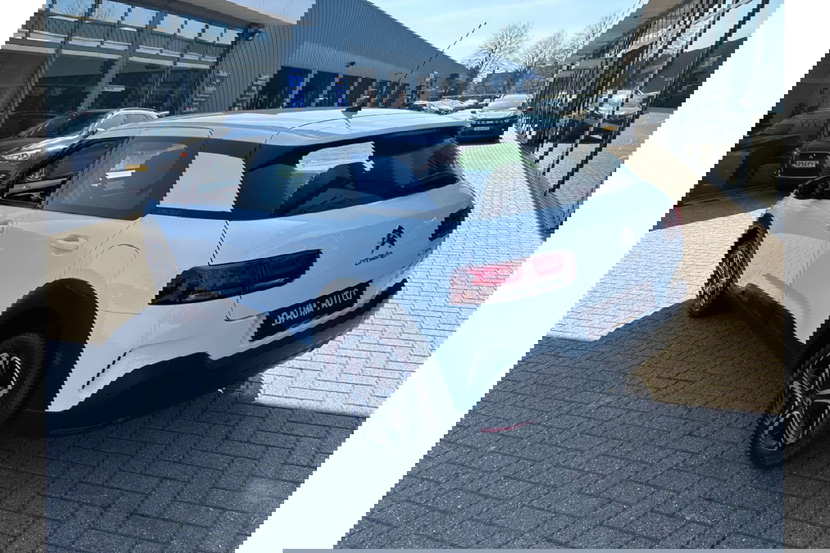 Citroën C4 Cactus 1.2 PURETECH 110PK FEEL ED. AIRCO CAPLAY NAVI PDC