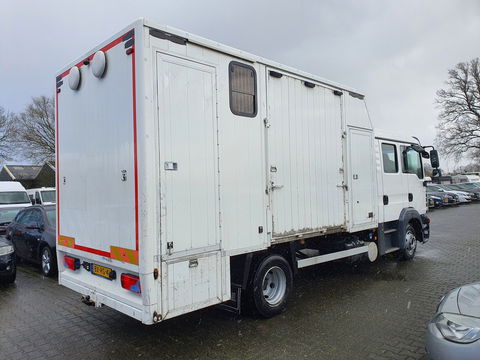 MAN TGL 8.180 (5-pers) Aut. 4X2 BL EEV *PAARDEN (2) /HORSES (2) TRAILER* AUT. *PAARDEN TRAILER- PFERDETRANSPORTWAGEN - HORSES TRAILER* *lengte: 760cm l breedte:236cm l hoogte:325cm*