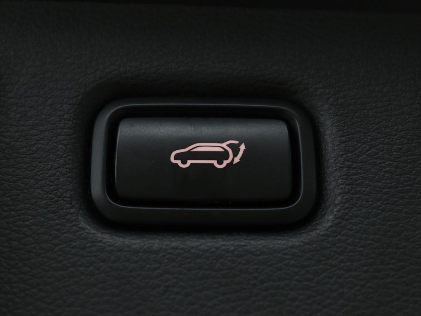 Kia Ceed 1.6 GDI PHEV ExecutiveLine | Panoramadak | Stoelventilatie | Trekhaak | Leder | Camera | Adaptive cruise | Keyless | Full LED | Stuur & achterbankverwarming | Carplay | Navigatie