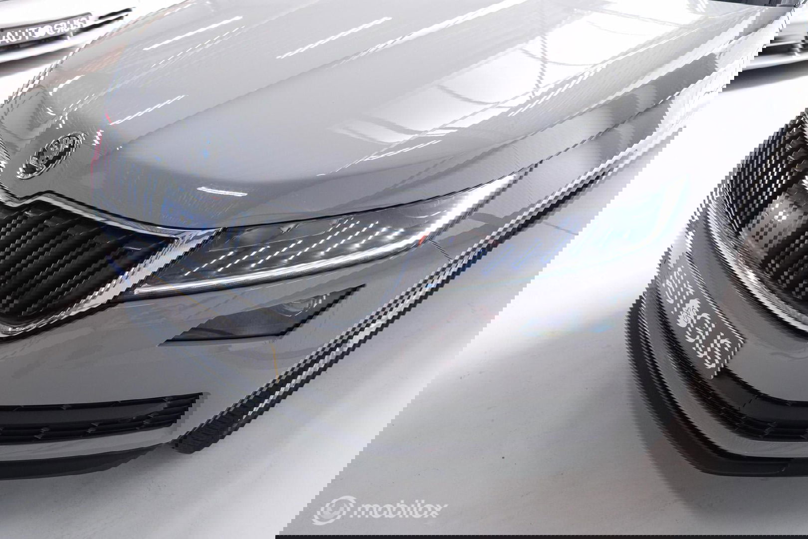 Škoda Kodiaq 1.5 TSI Business ed. DSG | 7 pers | Panorama | Trekhaak | LED | Steel Grey | Camera | Apple CarPlay | Adaptive |