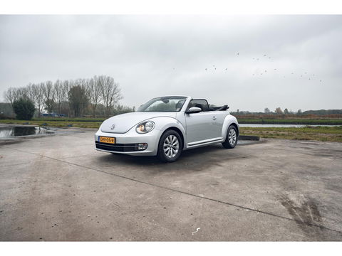 Volkswagen Beetle Cabriolet 1.2 TSI BlueMotion | LM VELGEN | STOELVERW. | ALL SEASON BANDEN