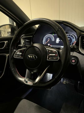 Kia ProCeed 1.6 T-GDI GT 204PK Pano Virtual Camera Memory