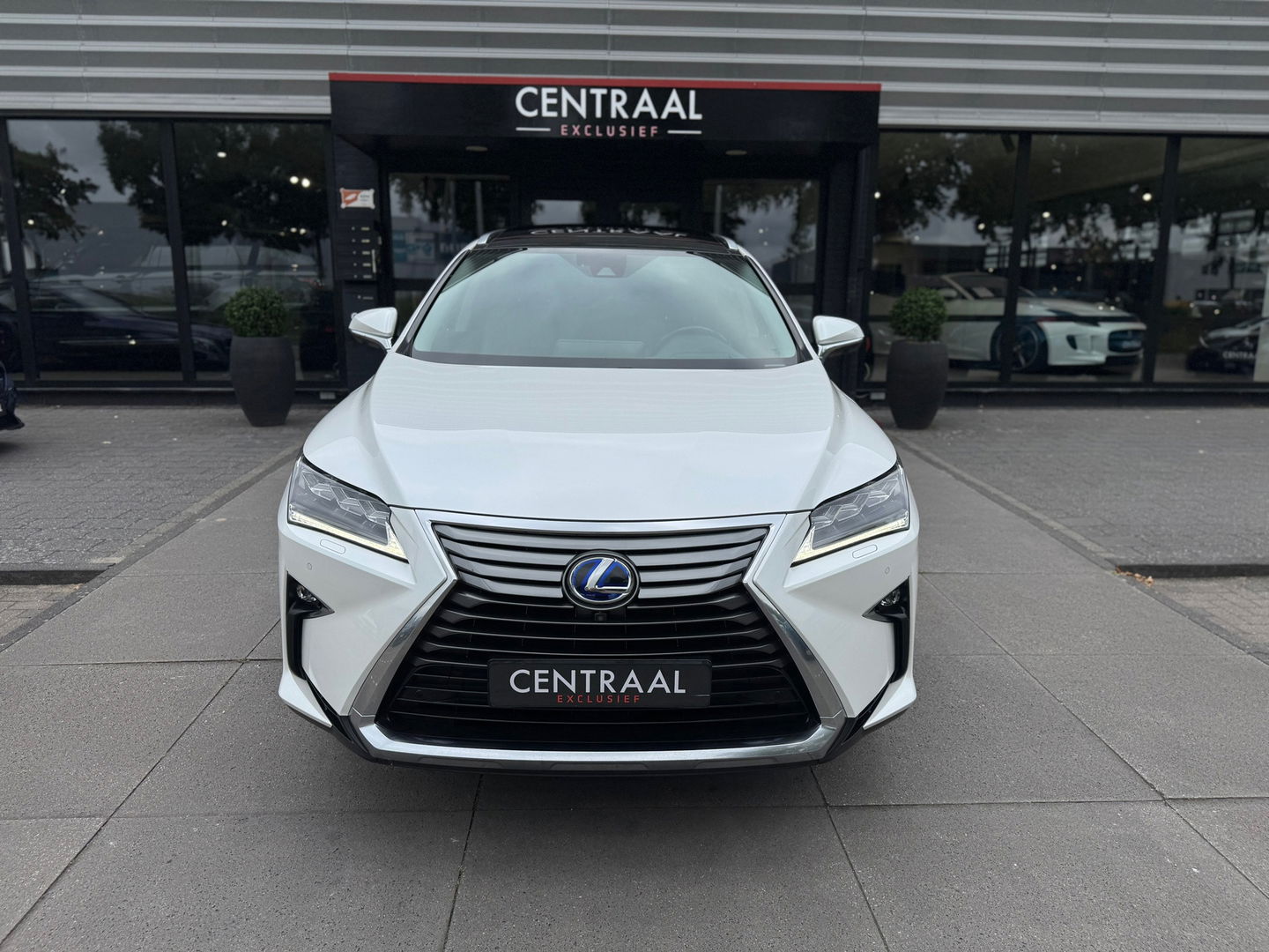 Lexus RX 450h 4WD Business Line|Pano|Head-Up|Memory|360Camera|ACC|Keyless|Leder|313PK