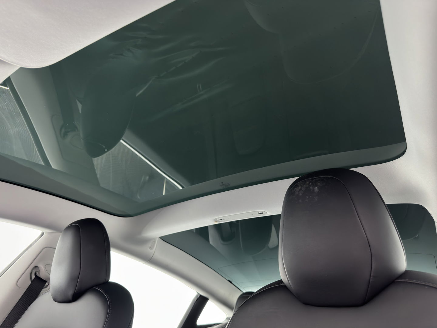 Tesla Model 3 Standard RWD Plus 60 kWh [ 3-Fase ] {SOH-88%} (INCL-BTW) Aut. *PANO | AUTO-PILOT | LUXURY-LEATHER | KEYLESS | FULL-LED | MEMORY-PACK | SURROUND-VIEW | DAB | CARPLAY | DIGI-COCKPIT | LANE-ASSIST | COMFORT-SEATS | 18"ALU*