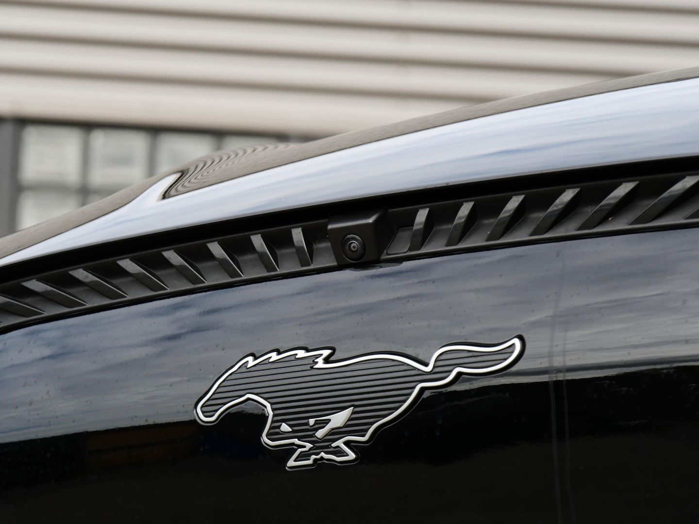 Ford Mustang Mach-E EXTENDED RWD 98kWh/ TECHNOLOGY PACK PLUS