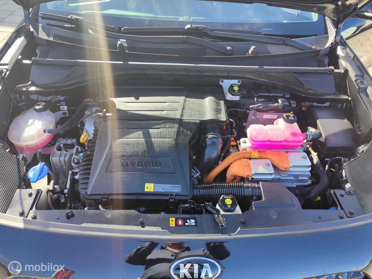 Kia Niro 1.6 GDi Hybrid DynamicPlusLine, Leer, Camera, Carplay