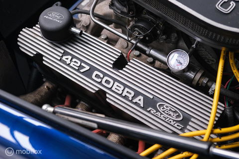 AC Cobra 427 V8 | Ford Based | 302 V8 Ford | Unieke kwaliteit | Pilgrim | Dax | Replica | Shelby |