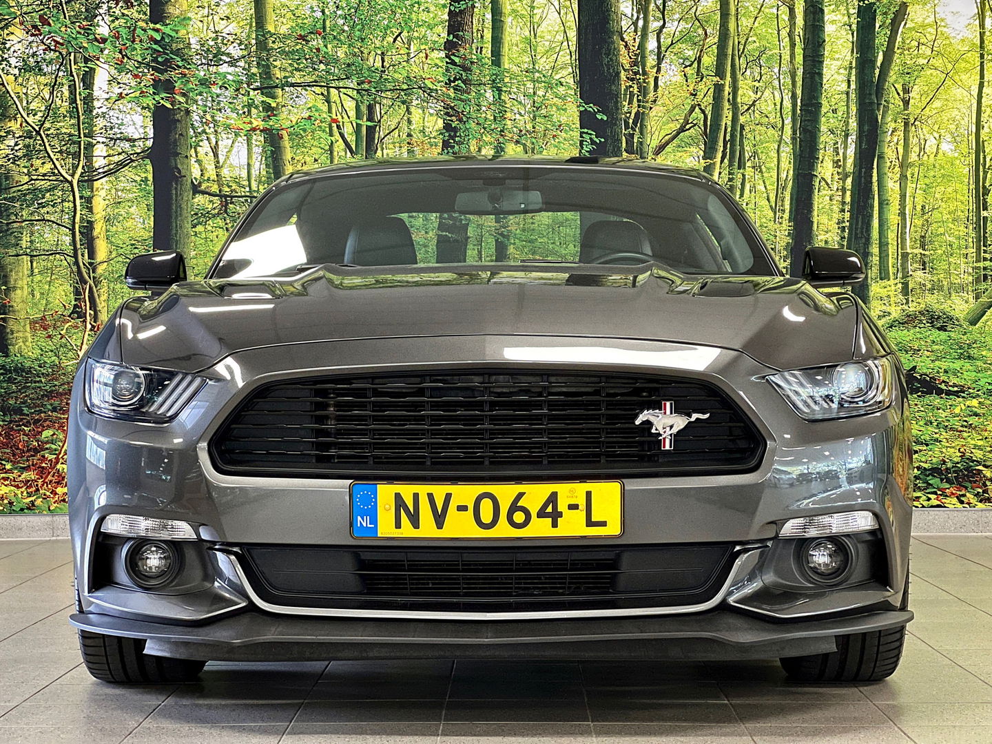 Ford Mustang Fastback 5.0 GT California Special | Handgeschakeld! | 422 PK | Camera | Stoelventilatie | Stoelverwarming | Navigatie | Leder | LED | Laptimer | Dodehoeksensor | Cruise Control | Keyless Go/Keyless Entry |