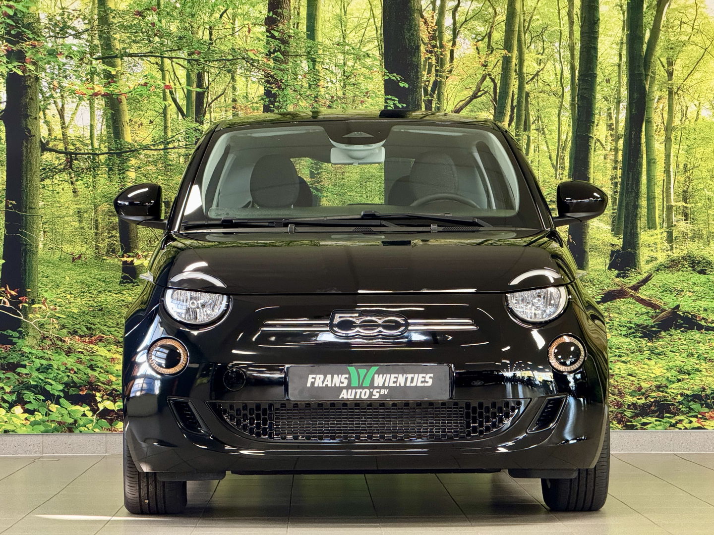 Fiat 500 Icon 42 kWh | Navigatie | Cruise Control | 16" Lichtmetaal | Lane Assist | Apple Carplay | Android Auto | DAB | Keyless Go |
