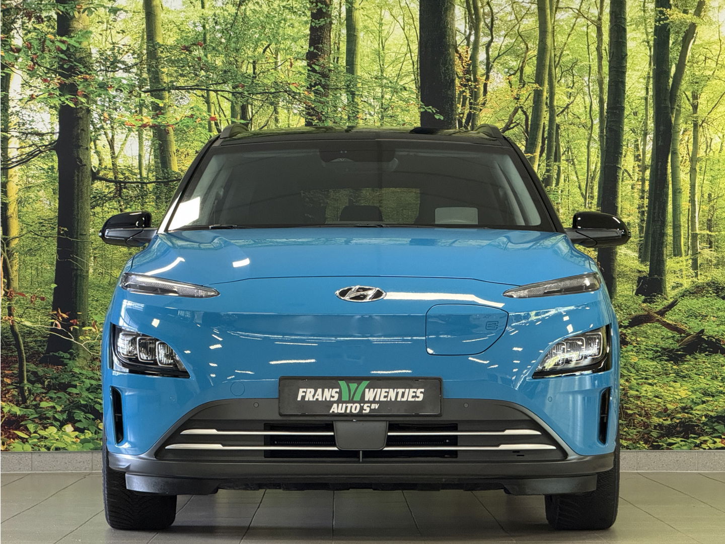 Hyundai KONA EV Comfort Smart 39 kWh | Standkachel | Krell Sound | Camera | Stuurwielverwarming | Stoelverwarming | Lane Assist | Dodehoeksensor | Adaptieve Cruise Control | DAB |