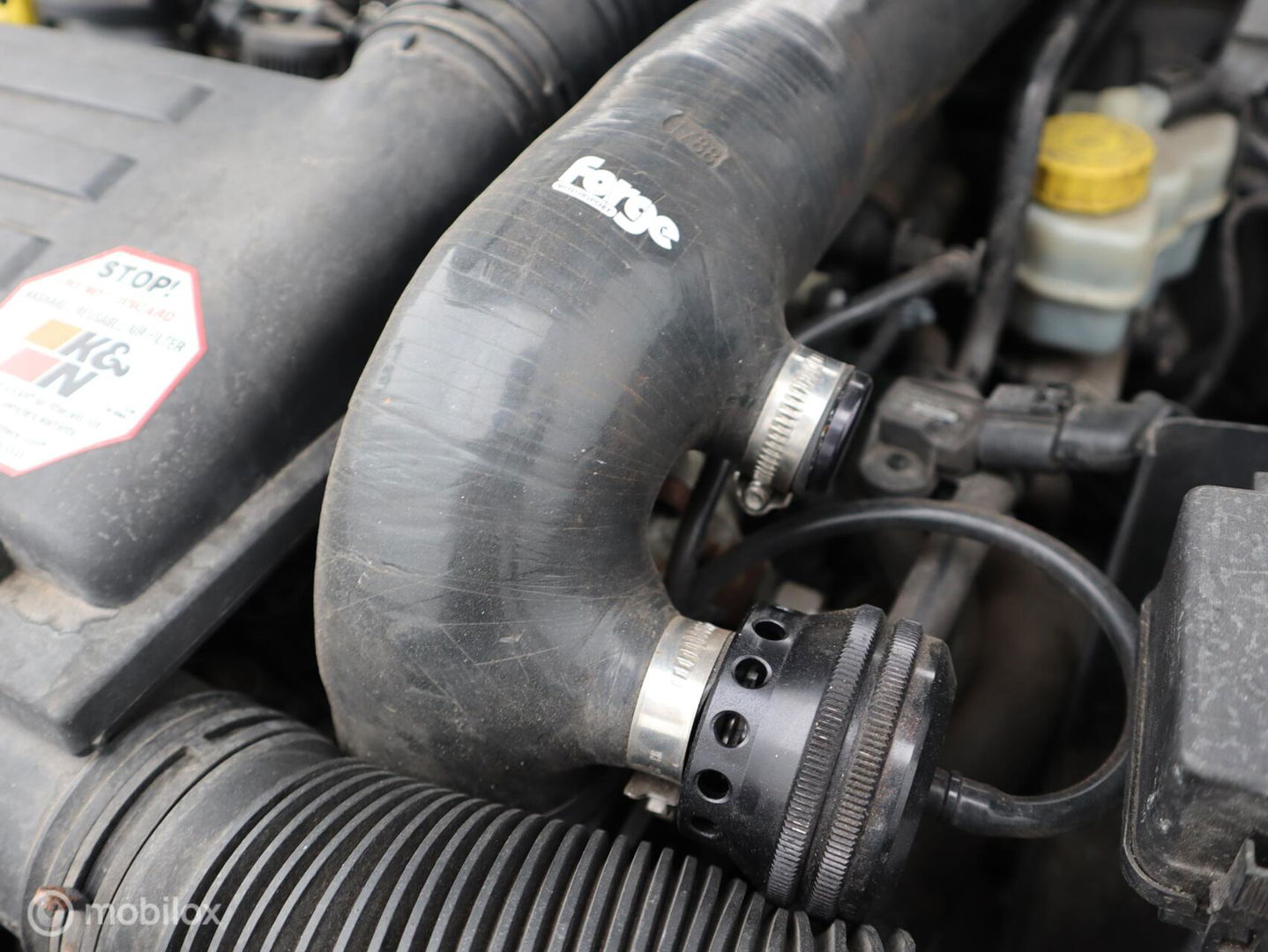 Volkswagen Polo 1.4 TSI BlueGT Alcantara CarPlay LED PDC Cruise