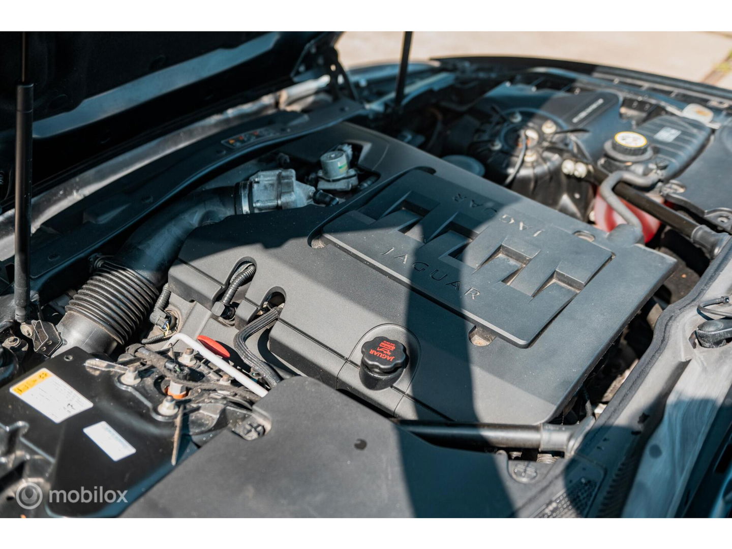 Jaguar XK 4.2 V8 Convertible - NL AUTO