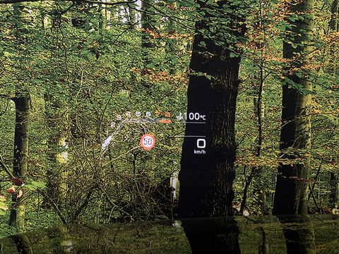 Audi RS Q8 4.0 TFSI RS Q8 quattro | Carbon Optiek Pakket | Dynamic Plus | Keramisch | 23'' lichtmetaal | Panoramadak | Massage | 600 Pk! | Head-up display | Trekhaak | Bang & Olufson |