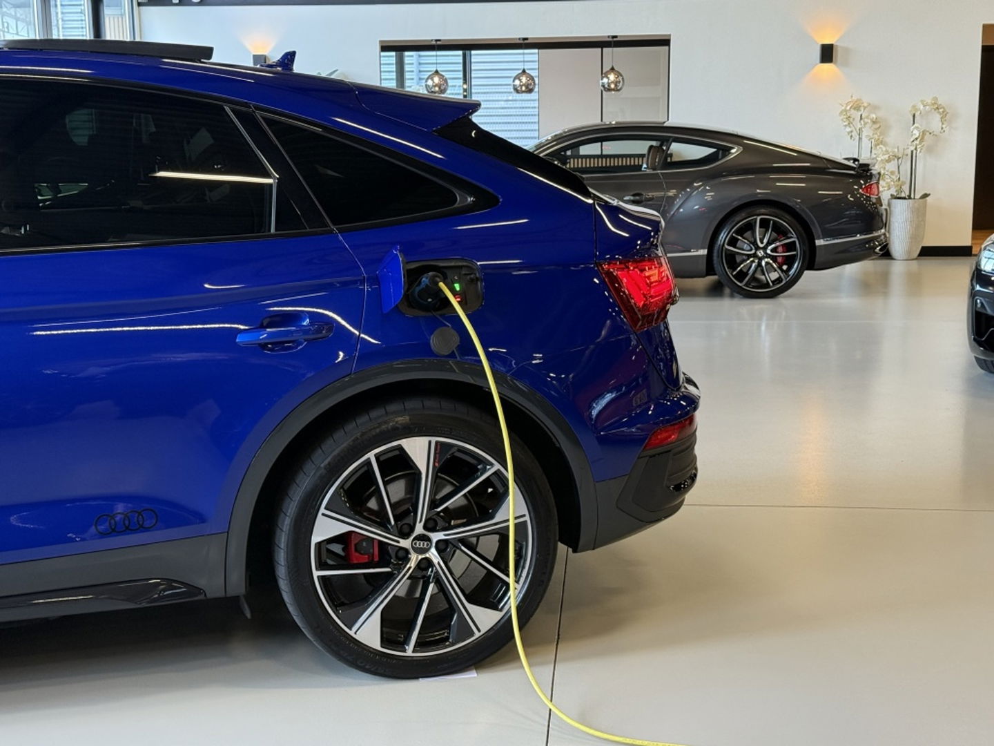 Audi Q5 Sportback 55 TFSI e 367 PK Quattro S-Edition / B&O / Martix LED