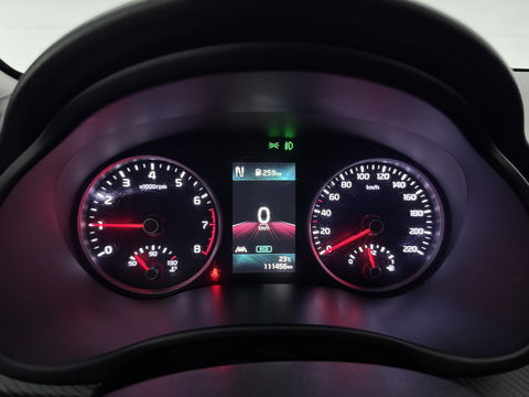 Kia Rio 1.0 T-GDi MHEV GT-Line | Camera | Stuur/Stoelverw. | Carplay | Cruise | Parkeersens. | NAP