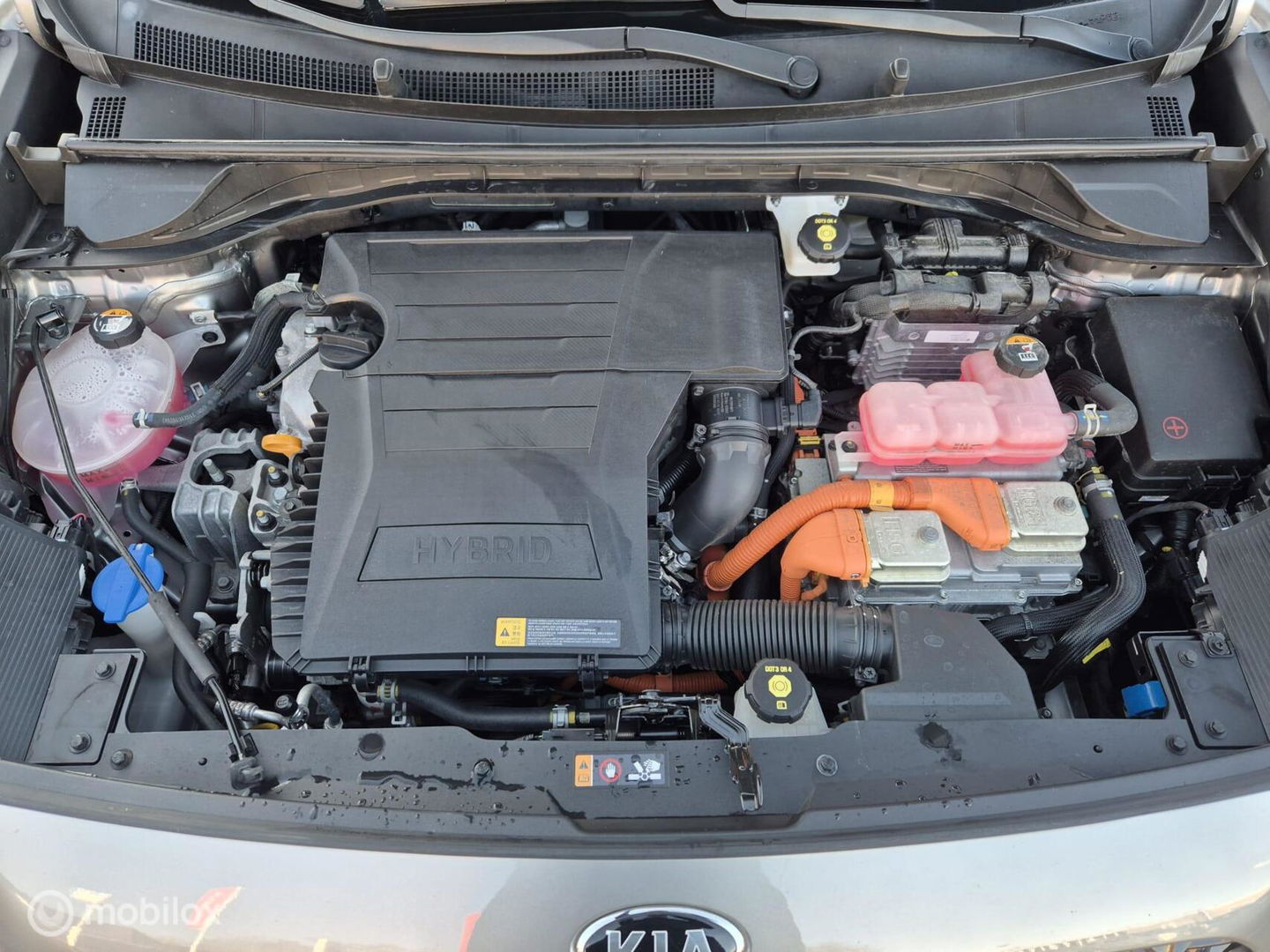 Kia Niro 1.6 GDi Hybrid DynamicPlusLine, 100% Onderhouden!