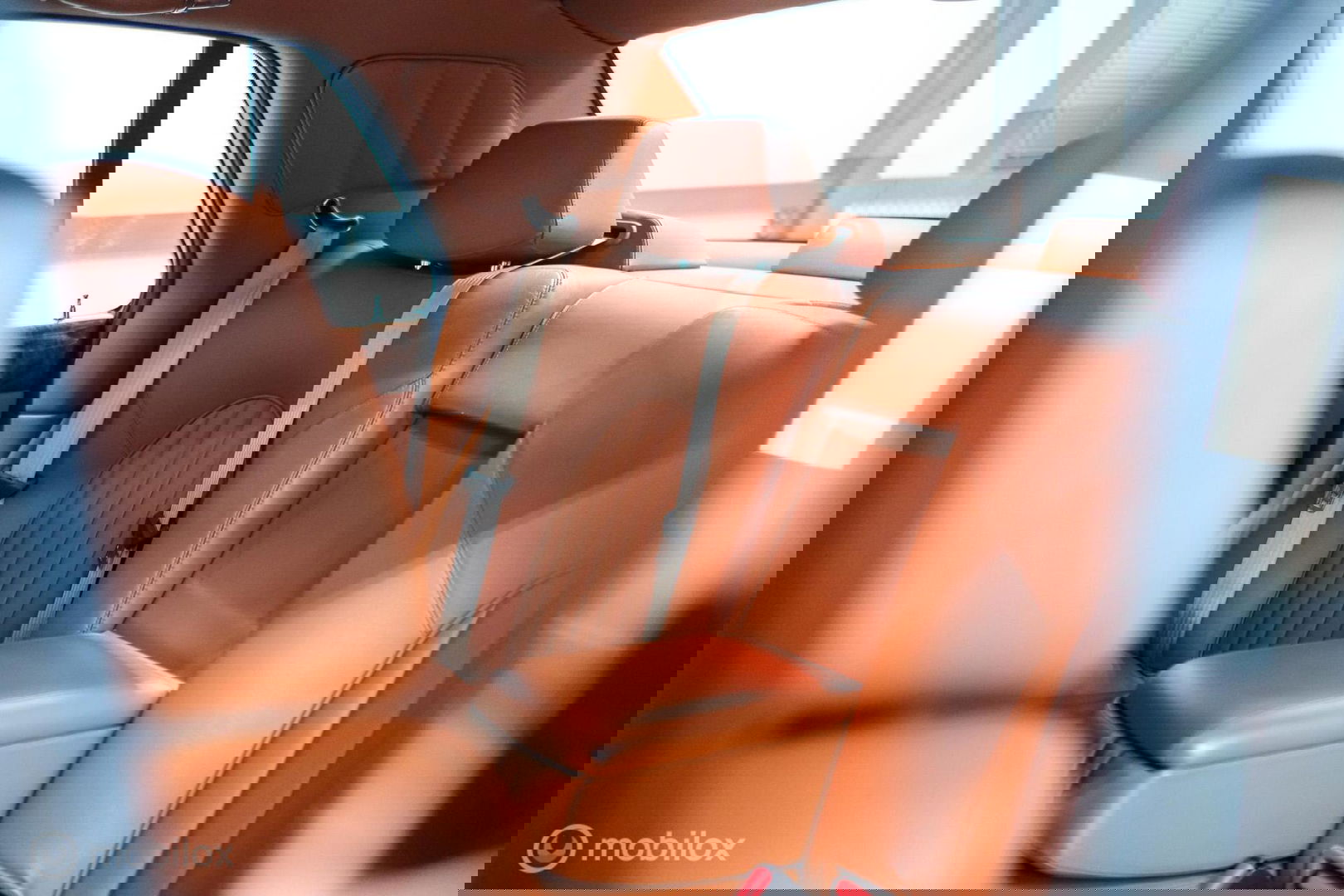 Bentley Arnage 4.5 V8 Green Label | First owner | Green over tan | Original dutch delivered | Mulsanne Green | Green Carpets | Service History