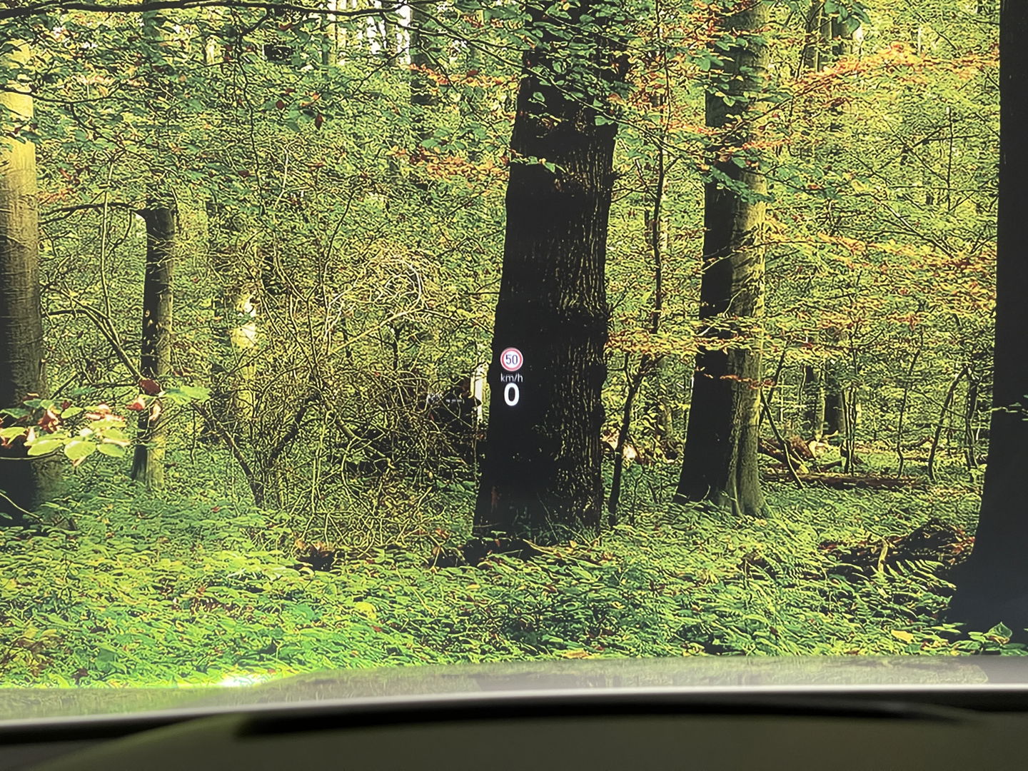 Volkswagen Golf 1.5 eTSI R-Line Edition | Apple Carplay | Stuurverwarming | Head-up-Display | Zwenkhaak | Achteruitrijcamera | Navigatie |