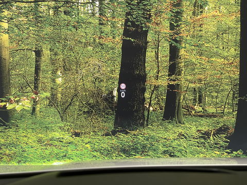 Volkswagen Golf 1.5 eTSI R-Line Edition | Apple Carplay | Stuurverwarming | Head-up-Display | Zwenkhaak | Achteruitrijcamera | Navigatie |