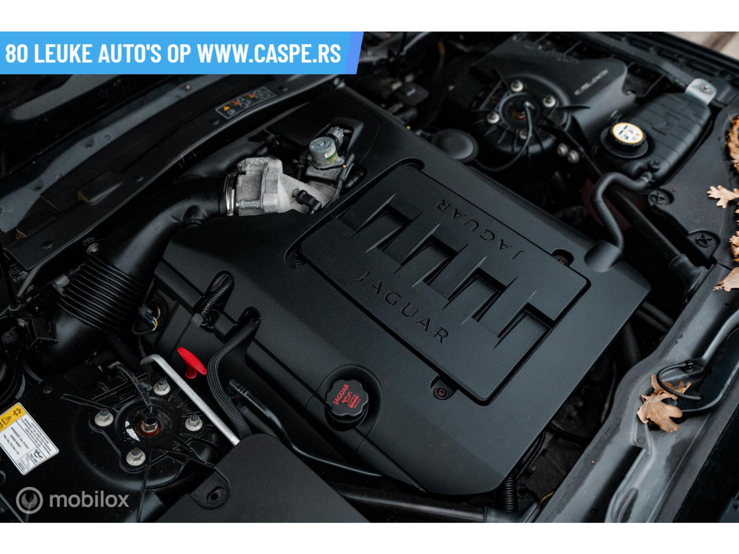 Jaguar XK 4.2 V8 Coupé