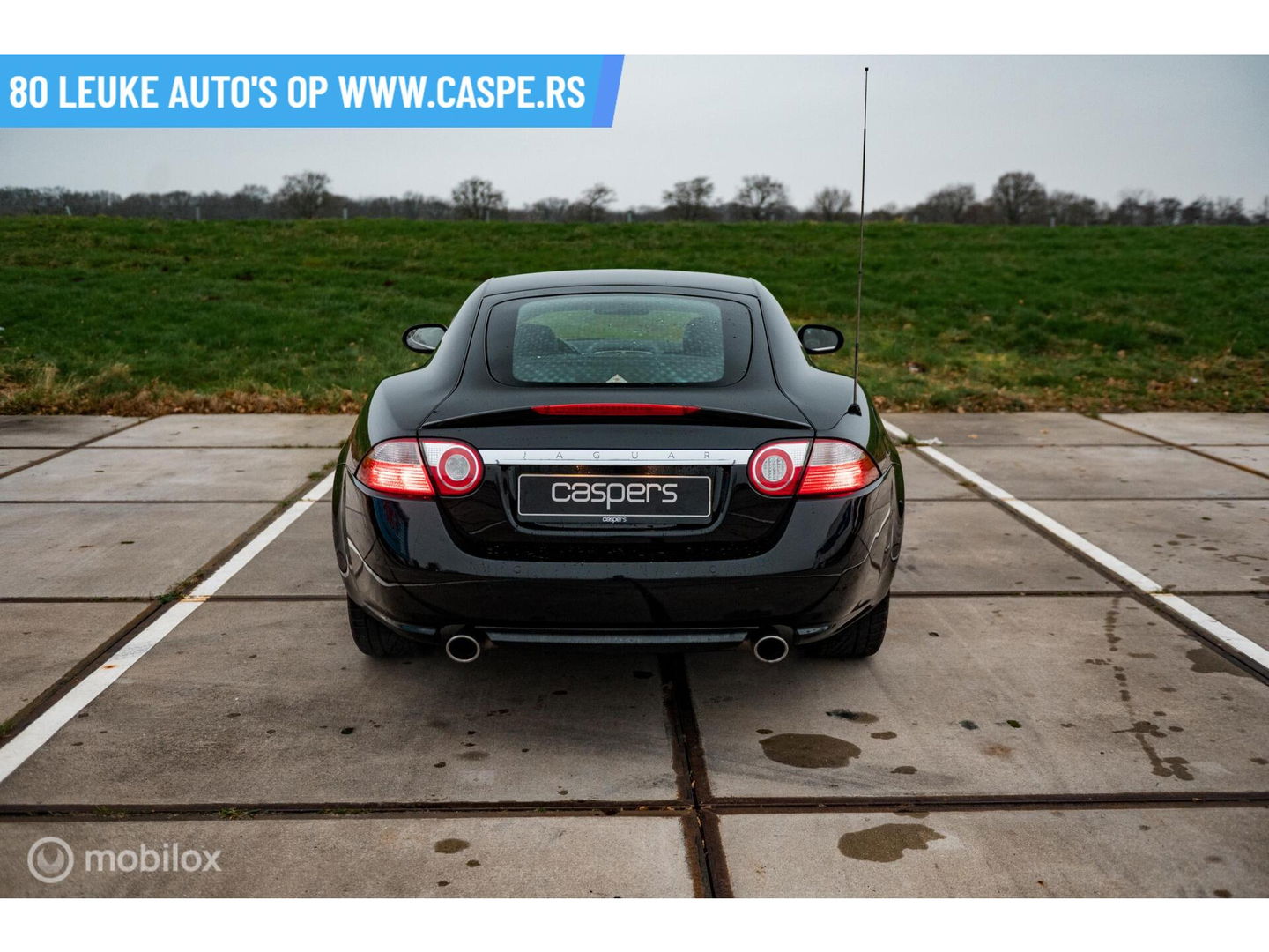 Jaguar XK 4.2 V8 Coupé