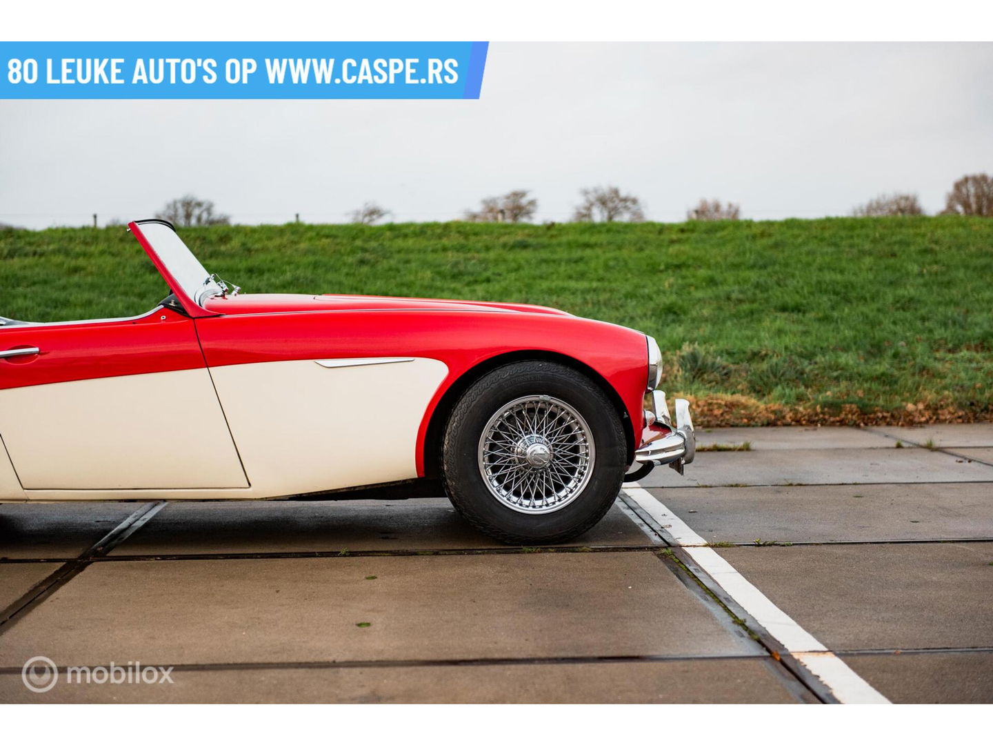 Austin Healey 100 6