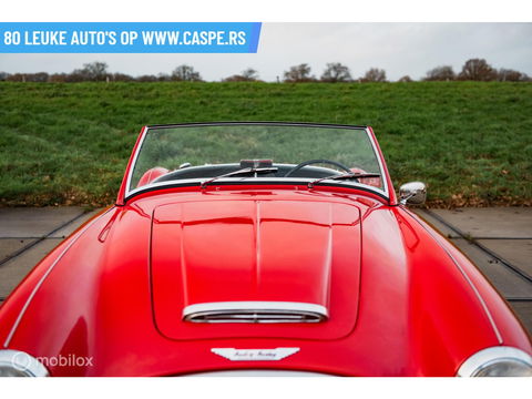 Austin Healey 100 6