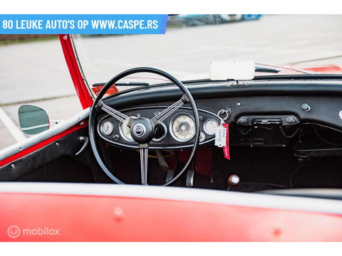 Austin Healey 100 6