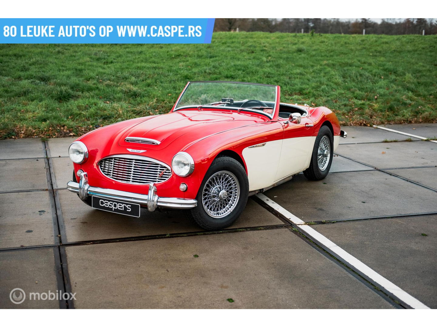 Austin Healey 100 6