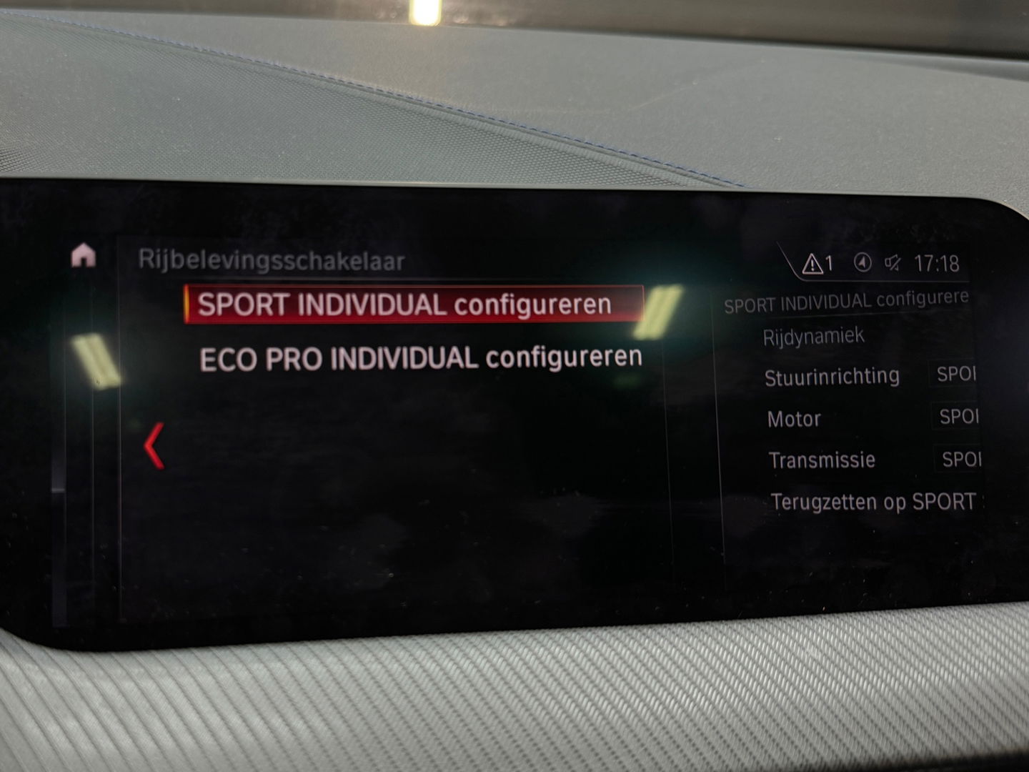 BMW 1-serie 118i High Executive M Sport Pano|M Seat|Sfeer