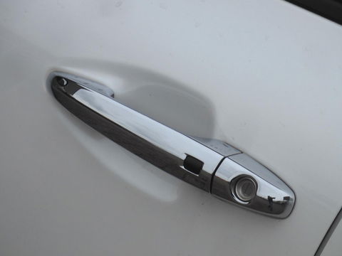 Kia e-Niro 64kWh/ 3-FASE/ SOH 100%/ EXECUTIVELINE/ TREKHAAK