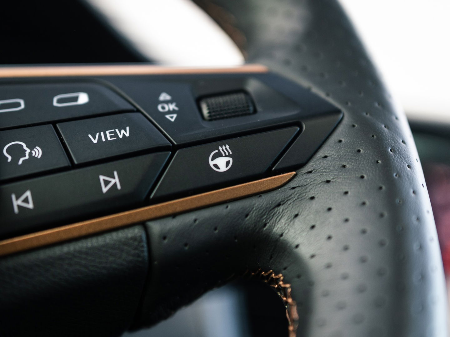 CUPRA Ateca 2.0 TSI 4DRIVE PANO BEATS 360 CAMERA SCHAALSTOELEN