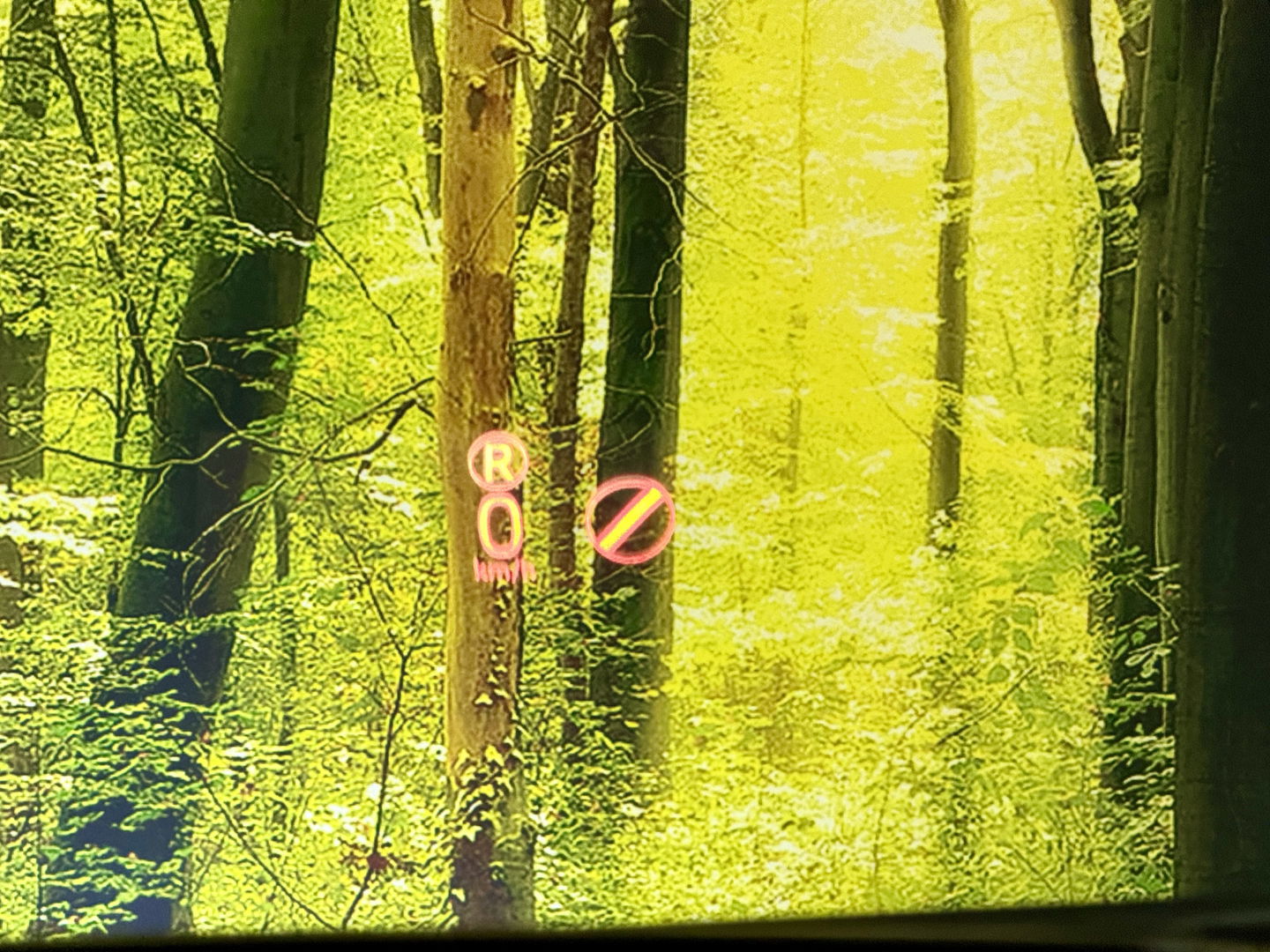 Land Rover Range Rover Evoque 2.0 TD4 HSE Dynamic | Head-Up Display | Meridian | Camera | Lane Assist | Dodehoeksensor | Leder | Memory Seats | Elektrische Achterklep | LED | Xenon |