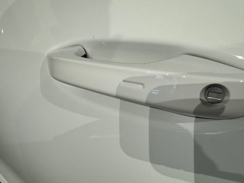 Volkswagen Golf 2.0 TSI R 4M Performance Pano|HuD|Memory|H/K