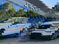 Ford F-150 - 3.5L V6 Ecoboost V6 STX Sport Night