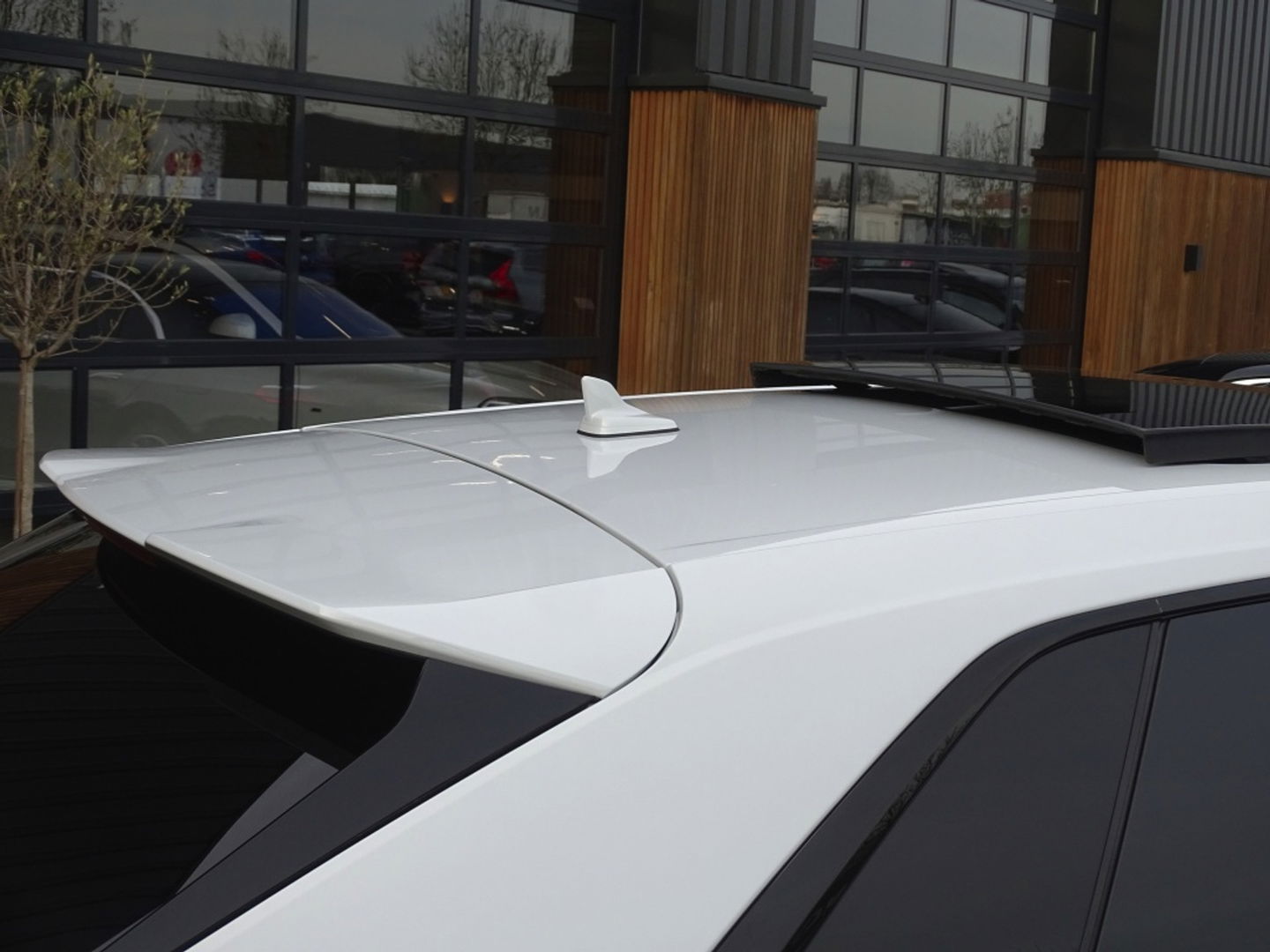 Audi Q8 4.0 TFSI V8T 601PK RS Q8 q. / carbon / ceramic brakes / B&O