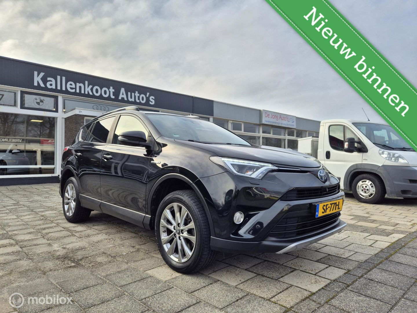 Toyota RAV4 2.5 Hybrid AWD Executive, Perfect onderhouden!