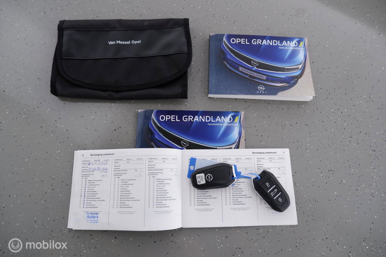 Opel Grandland X