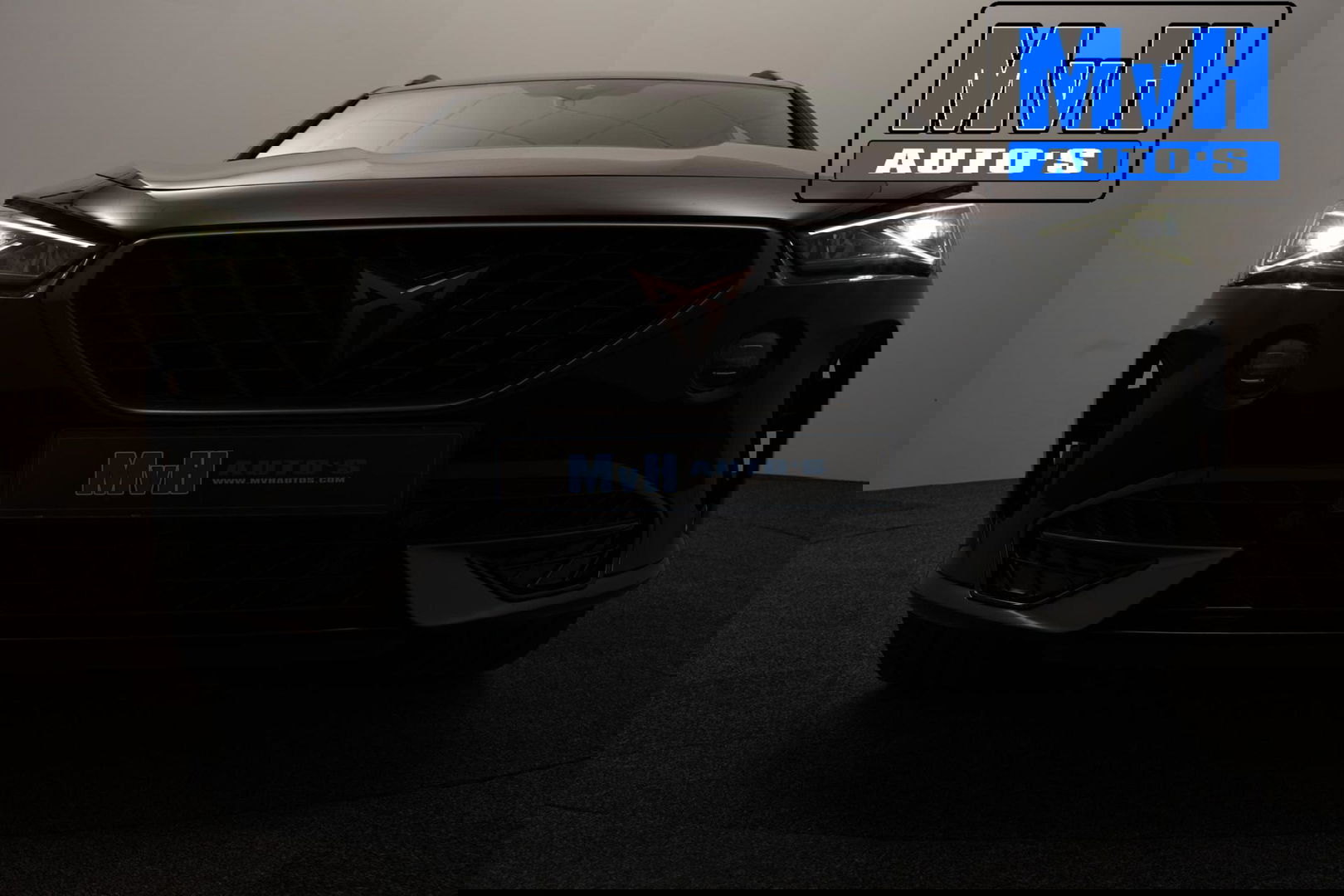 CUPRA Formentor 1.4 e-Hybrid Business|STOEL/STUUR.VERW|CAMERA