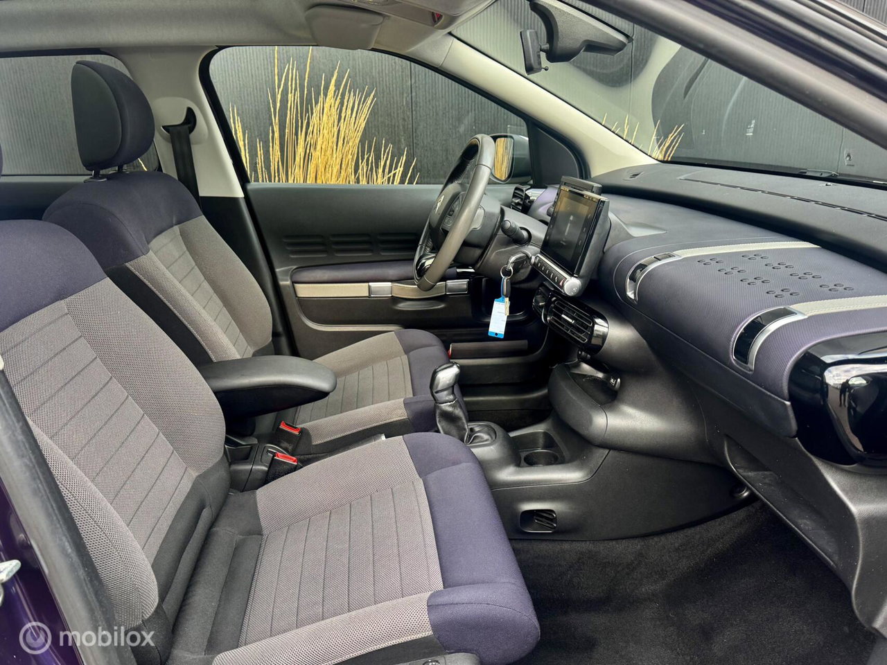 Citroën C4 Cactus