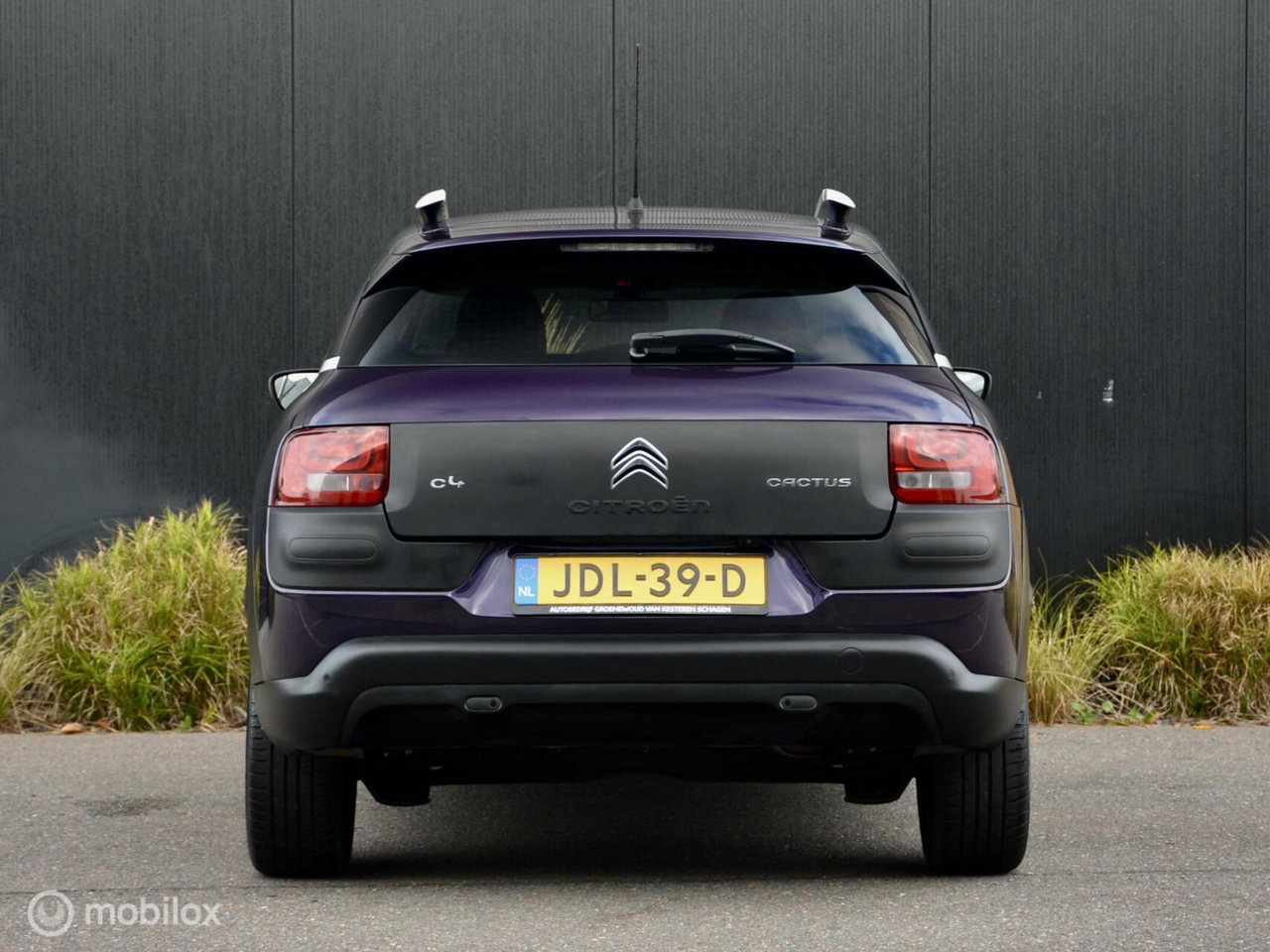 Citroën C4 Cactus