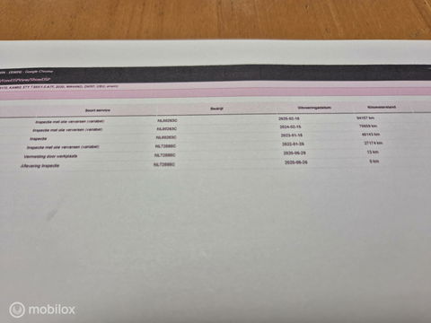 Škoda Kamiq 1.0 TSI Business Edition, DSG, Digi Dash, NAP!